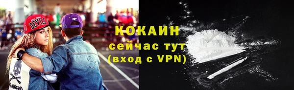 гашик Белоозёрский