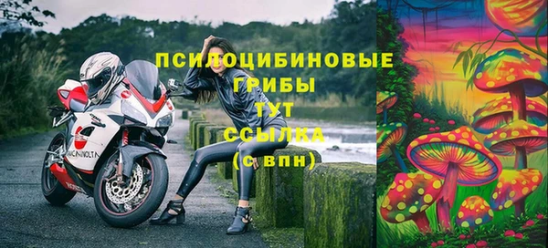 гашик Белоозёрский