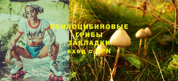 прущий лед Белокуриха