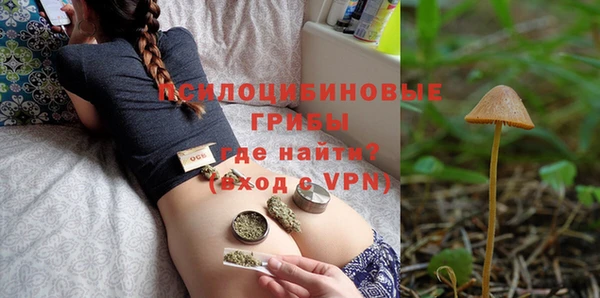 прущий лед Белокуриха