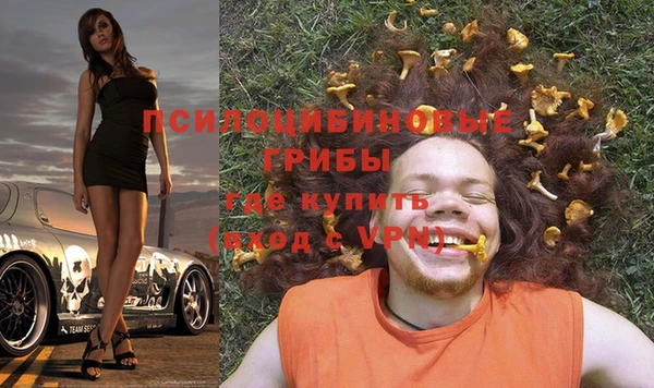 гашик Белоозёрский