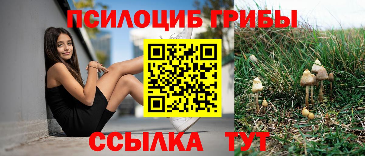 Кстово  Галлюциногенные грибы MAGIC MUSHROOMS  Вход с VPN 